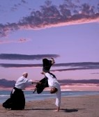 divers/3500200-deux-adultes-sont-en-formation-sur-une-plage-d-39-aikido.jpg